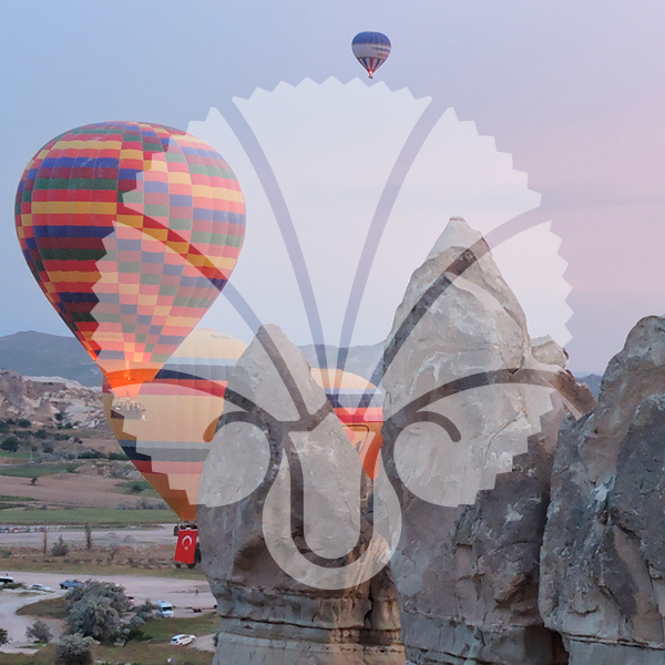 American Research Institute in Turkey